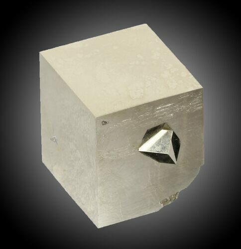 mm Pyrite Cube Cluster - Navajun, Spain #31016